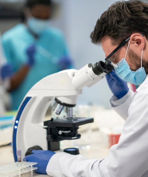 Laboratorio Sant’Andrea